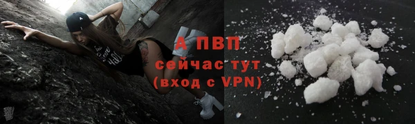 молекула духа Переславль-Залесский