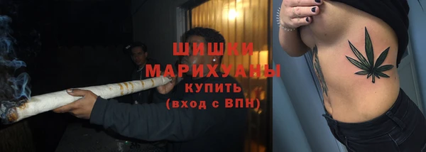 гидра Пересвет