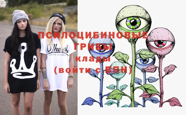 молекула духа Переславль-Залесский