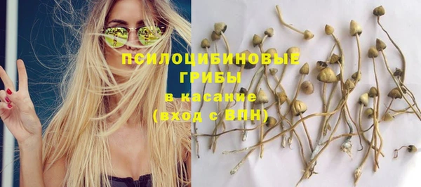 молекула духа Переславль-Залесский